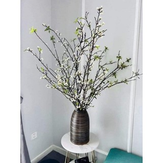 10 cành hoa mận rừng,hoa thật.