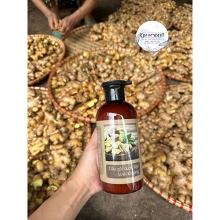 Dầu gội gừng dược liệu giữ ấm da đầu, lưu thông mạch máu tốt