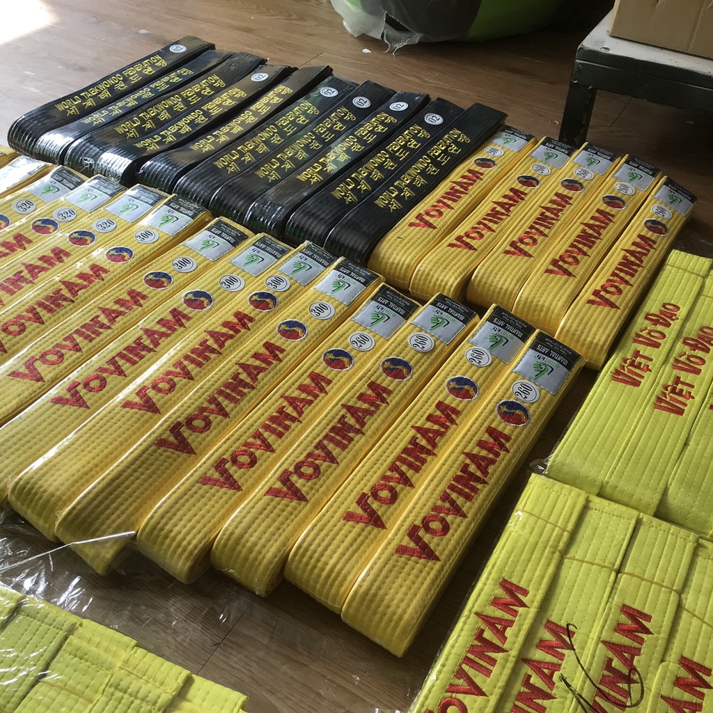 Vovinam Karate Taekwondo Ailaikit