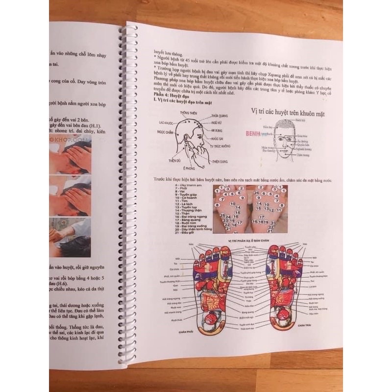 Hướng Dẫn Làm Spa Đầy Đủ, Chăm Sóc Da, Massage, xoa bóp, bấm huyệt…