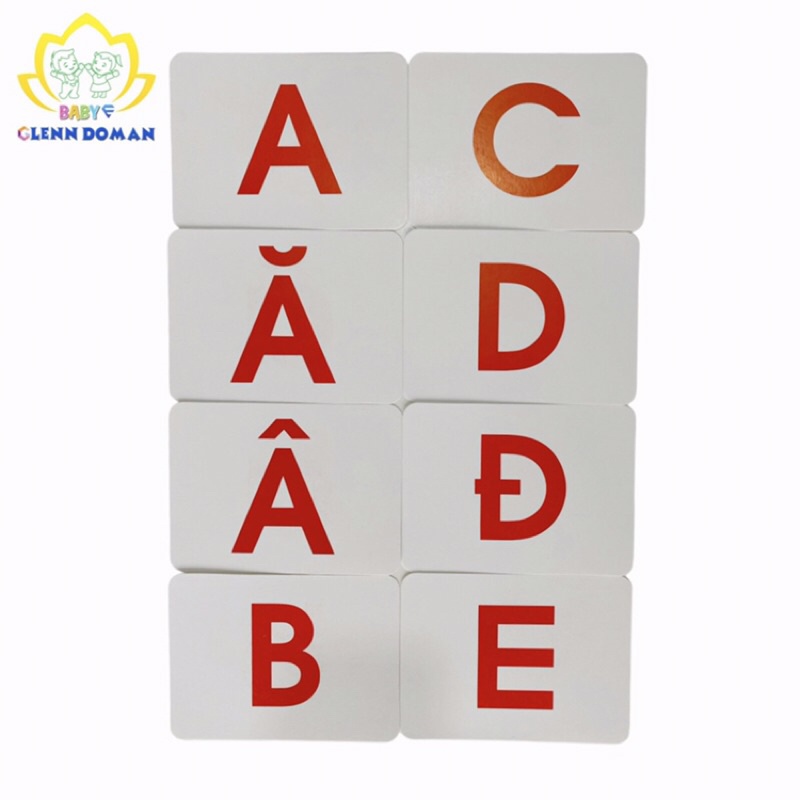 Flashcard Chữ Cái Tiếng Việt + Tiếng Anh 33 thẻ in 2 mặt