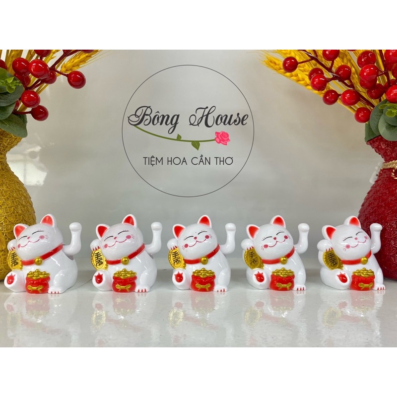 Mèo thần tài mini, thần tài