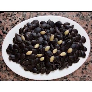 Hạt bí mèo đen 1 kg nhân mẩy vụ mới 2022