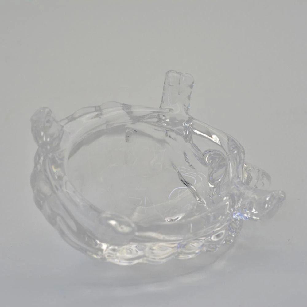 Hồ Cá Trong Suốt Để Bàn Trang Trí Hình Rùa Sáng Tạo REBUY1