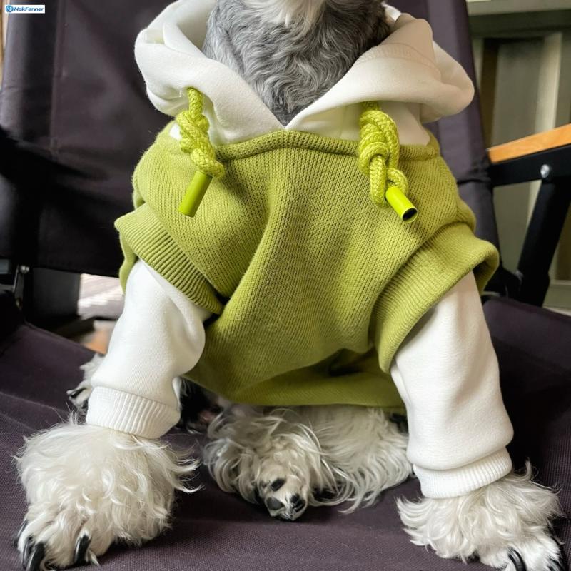 Áo Nỉ Giữ Ấm Cho Thú Cưng Chó schnauzer teddy Kiểu Đơn Sắc