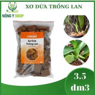 Giá thể Xơ Dừa đã xử lý miếng 2-3cm Trồng Lan Lavamix (3.5dm)