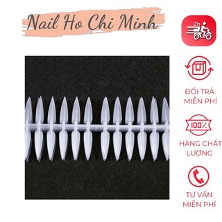 Set mẫu móng from nhọn (10 vĩ-240 móng)