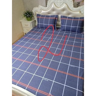 Vỏ Chăn Có Khoá Kéo Cotton Poly 2m2 x2m