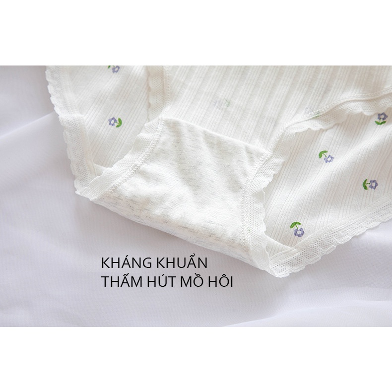 Quần lót nữ ren lưới bánh bèo thắt nơ dễ thương 341