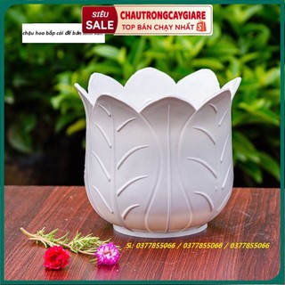 Chậu hoa hình bắp cải xinh xắn, chậu trồng cây nhỏ xinh đẹp mắt để bàn trang trí, ban công sân vườn bằng nhựa màu trắng