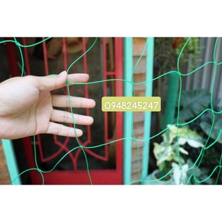 Lưới làm giàn leo cho tất cả cây thân leo