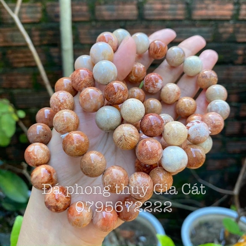 Vòng tay đá san hô hoá thạch triệu năm chuẩn vip kiểm định