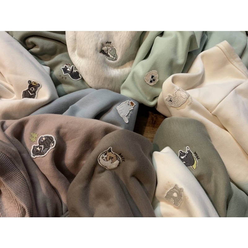 Áo hoodie đồng giá 200k