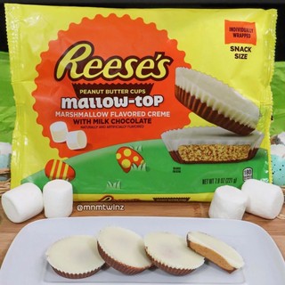 Socola Reeses Bơ Đậu Phộng 2 Vị Thanh - Socola Mỹ