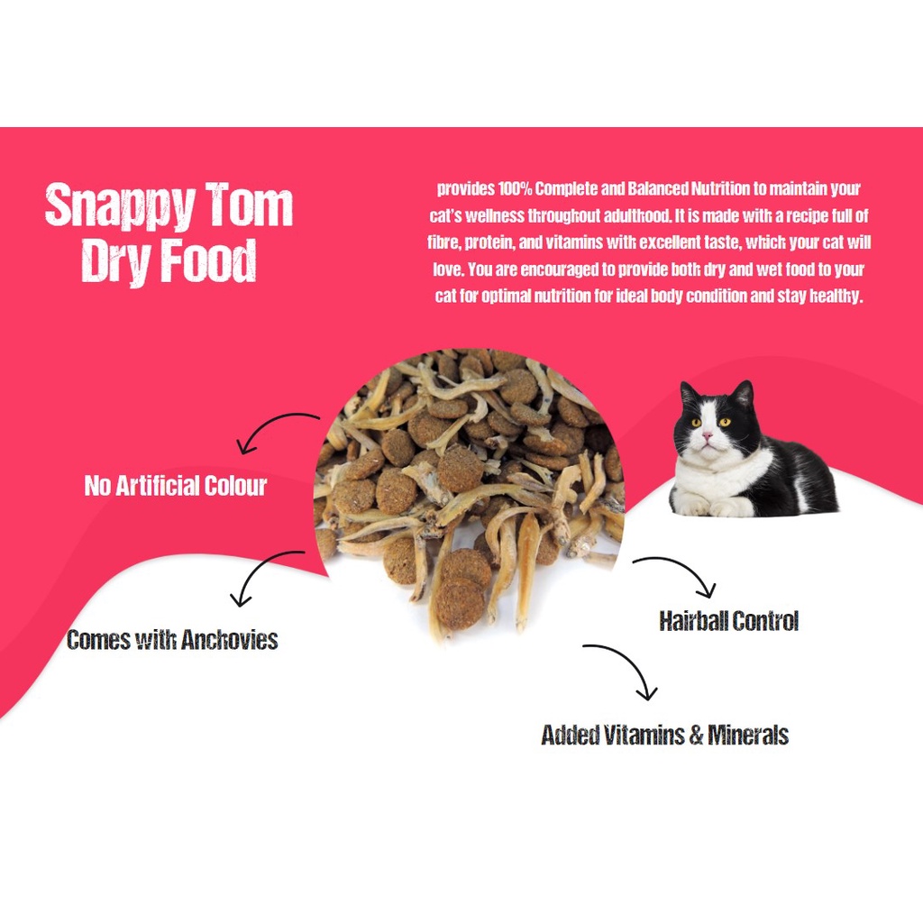 Hạt Royal Canin - Snappy Tom - TEB - MISTER DONUT -  Thức ăn cho Mèo - CHỌN LOẠI