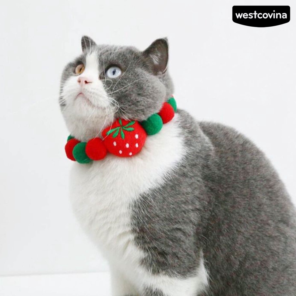 [Hot]♝Vòng Cổ HìNh TráI Cây Cho Thú Cưng