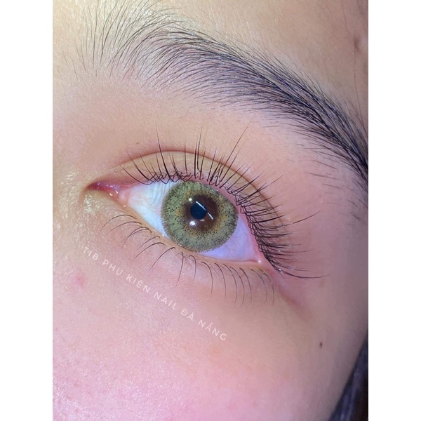 mi lông thỏ cong LD tib nail