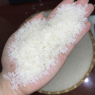 Gạo ST25 (Bao 5 ký Gạo Cao Cấp Mềm Cơm )