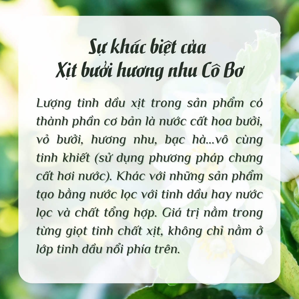 Xịt bưởi | Xịt tinh dầu bưởi | Kích thích mọc tóc, ngăn rụng tóc, ngăn hói | Xịt vỏ bưởi, hương nhu, bạc hà 100ml CÔ BƠ