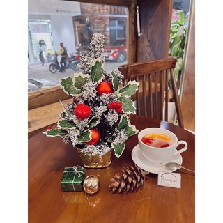 Cây thông Noel nhỏ (kèm đèn)