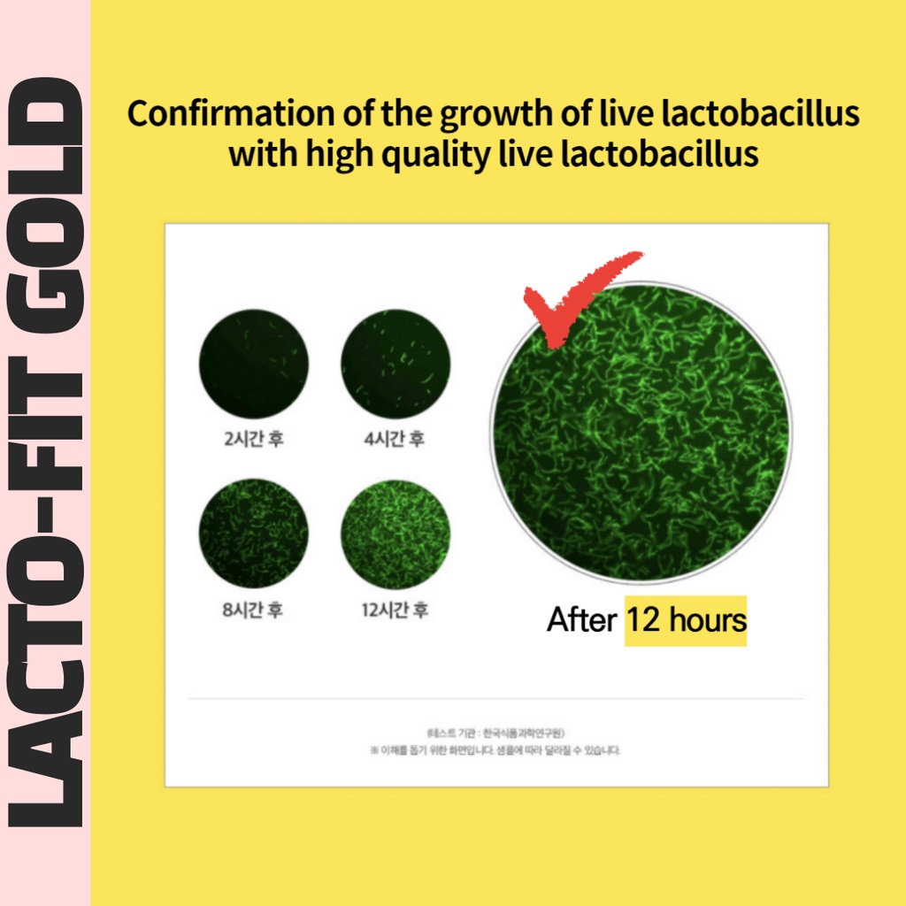 Lactofit gold 100% GenuineBộ 50 Miếng Dán Sinh Học Hàn Quốc Chính Hãng 100%