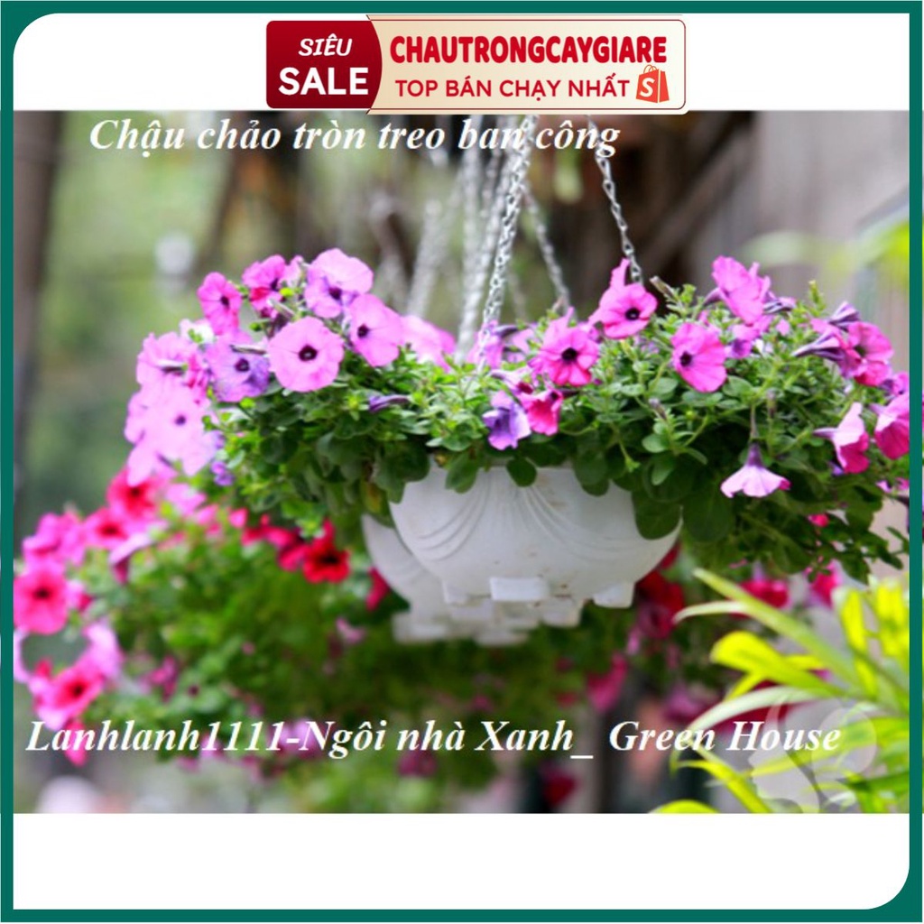 Chậu chảo treo lan chậu trônng cây, trồng hoa dây treo xích bằng sắt treo ban công hình tròn kích thước 30*20cm bền đẹp