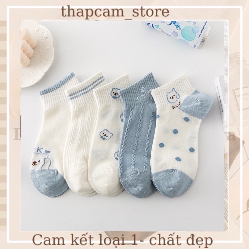 Tất cổ ngắn nam nữ hình gấu Blue (New)