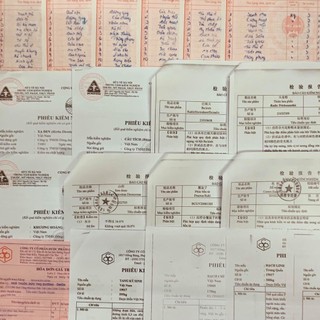 Biển Súc - Phơi khô - Túi 500g