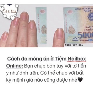 Nailbox Móng Úp Thiết Sẵn Mẫu Sơn Trơn
