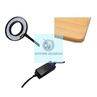 Đèn Đế Gỗ Bể Cá Bể Cá Cảnh Bể Thuỷ Sinh