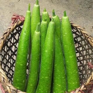 15H -Hạt_Giống_Bầu_Sao_Dài ( tặng kèm kích mầm và phân bón )