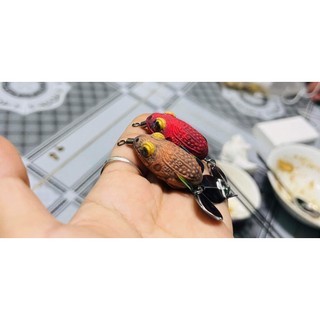 NHÁI HƠI CÓC MINI THÁI 3.5 Cm