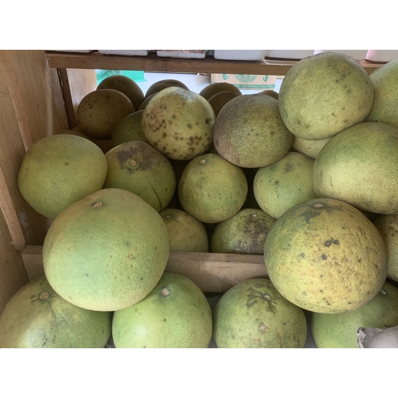 Đặc sản bưởi Năm Roi sl 1 trái