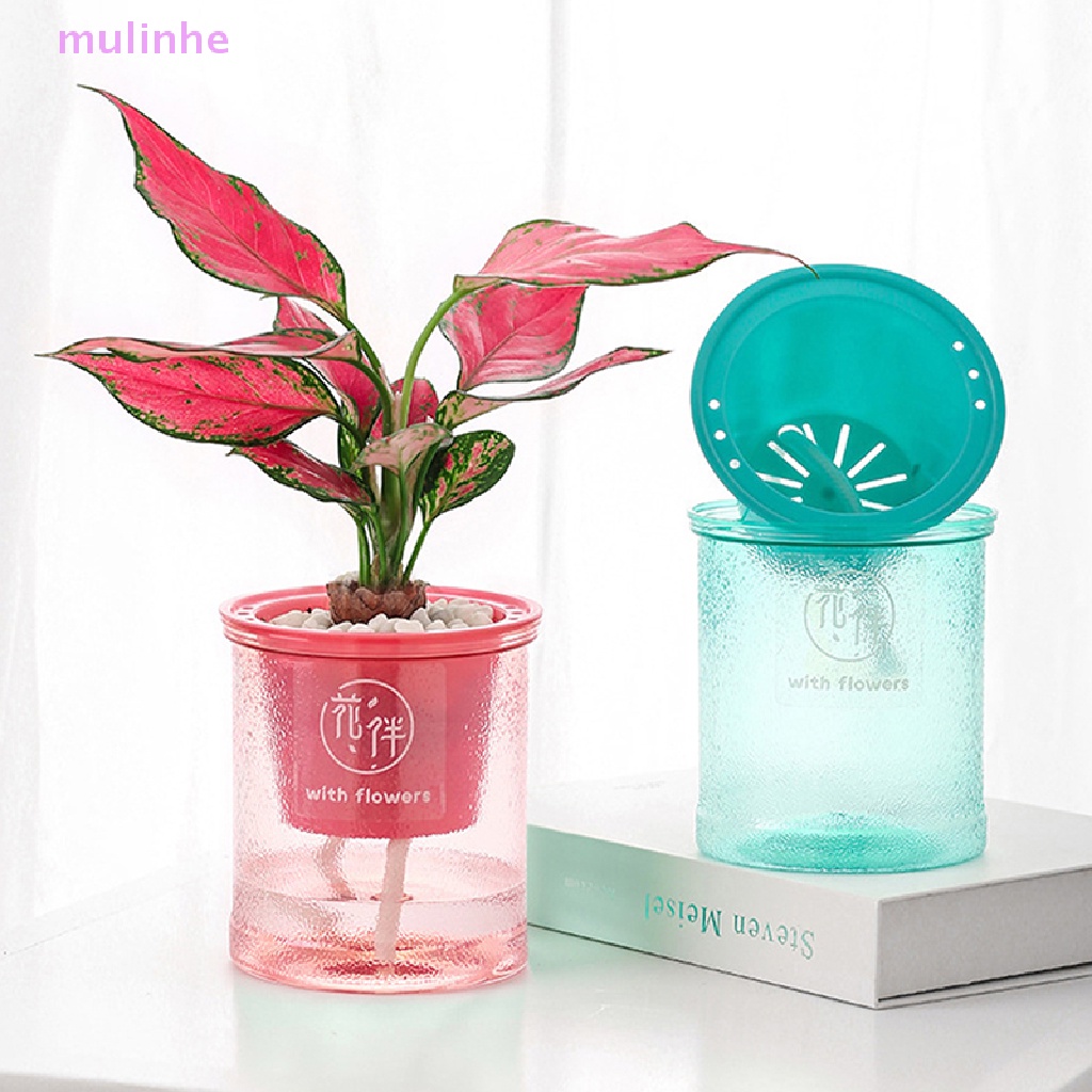 1 Chậu Hoa Tự Tưới Nước Bằng Nhựa Trong Suốt