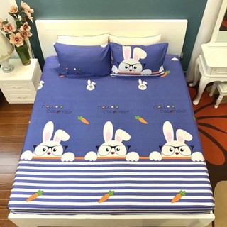 Ga chống thấm cotton poly cho đệm dày 10cm