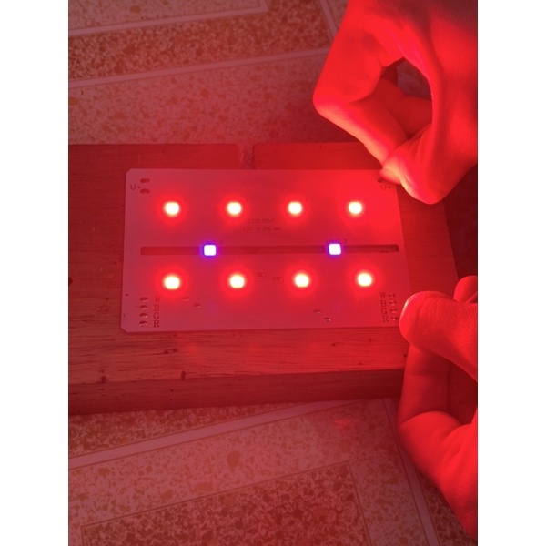 Mạch Led Sóng Kép 5054 4in1 RRGBW+UV