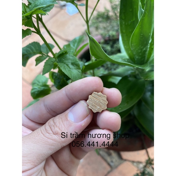 Charm hoa sen trầm hương tốc