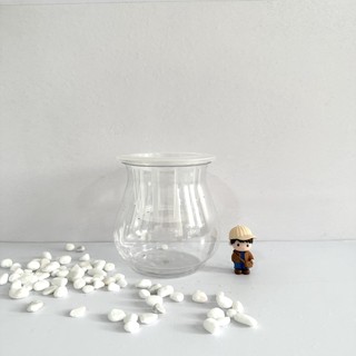  Bình thủy sinh kèm giá đỡ trồng cây chuyên dụng trầu bà kim tiền bàng. Nhựa cao cấp tránh vỡ hỏng 
