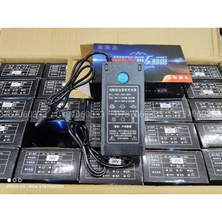Sạc xe cào cào điện 36v12a
