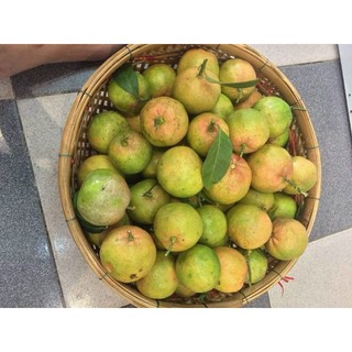 Chanh đào nhà trồng/1kg