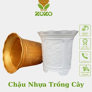 Combo 03 chậu nhựa zozo tròn tứ quý trồng cây hoa loại 1 cực dày dặn