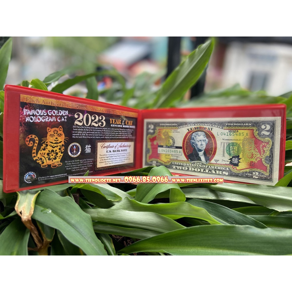 [Tết 2023] Combo Quà Tặng 2 Đô Hình Con Mèo Cho Năm Mới Quý Mão