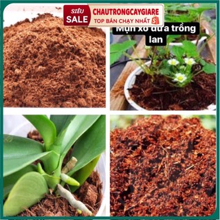 100g  Mụn xơ dừa đã qua xử lý, giá thể tròng cây trồng rau, chuyên dùng cho lan, giữ ẩm tạo độ tơi xốp cho đất, nảy mầm