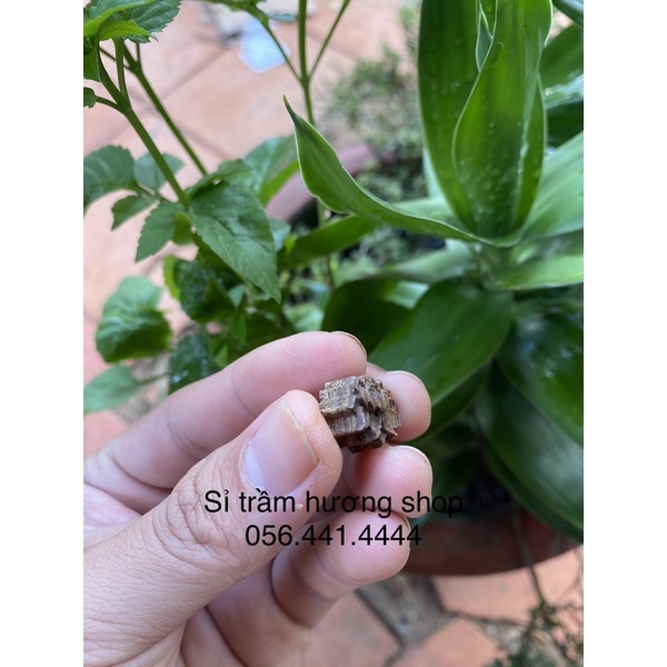 Charm hoa sen trầm hương tốc