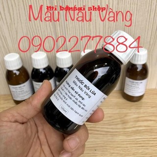 Sơn Gỗ Lũa, Thuốc Lũa Bonsai Cây Cảnh 6 Màu thông dụng