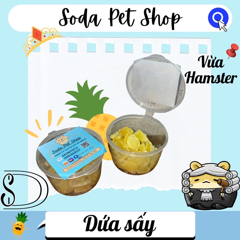 Dứa Sấy Cho Hamster