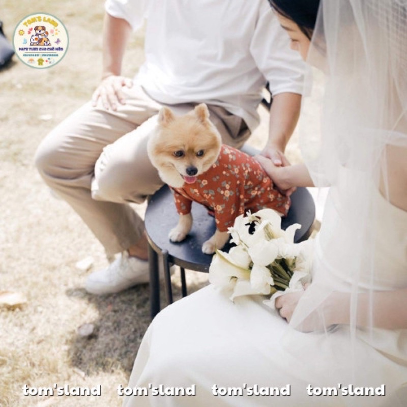 Áo Dài Tết Nhung Tăm Hoạ Tiết Hoa Thu Đông Cho Chó Mèo - Áo Dài Cho Thú Cưng -Siêu Mềm Mại