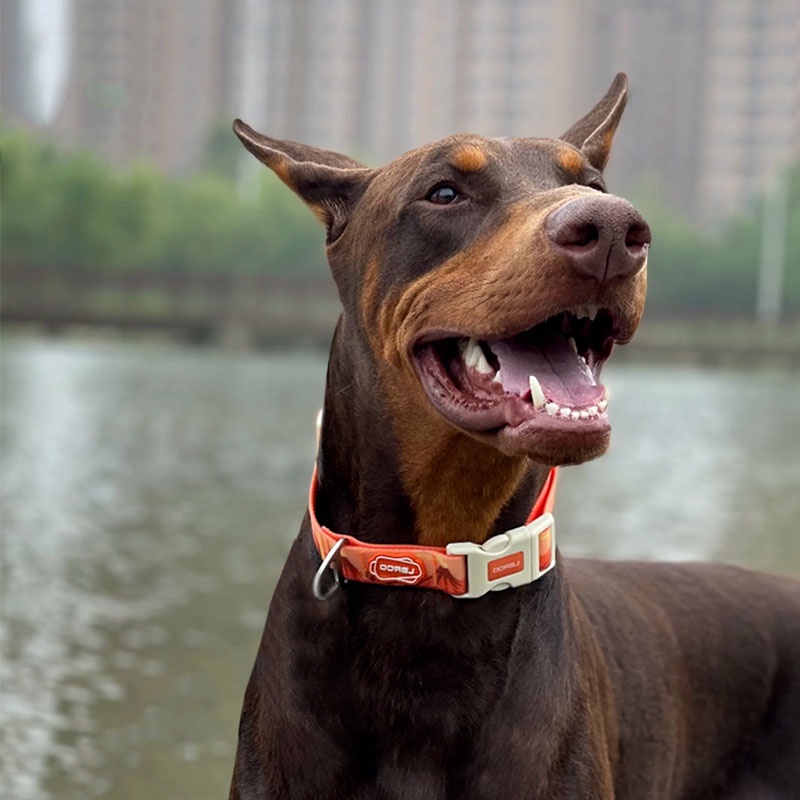 HamshMoc Vòng Cổ Hamsa Chống Thấm Nước Tùy Chỉnh Với Khóa Cài Mạnh Tháo Gỡ Nhanh Cỡ Nhỏ / Vừa / Lớn Cho