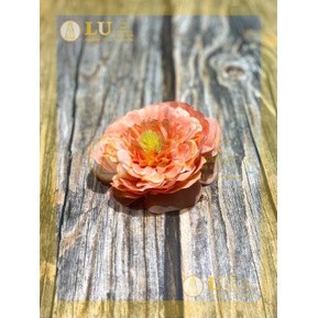 Đầu hoa tràm trà 9 - 10cm | LU