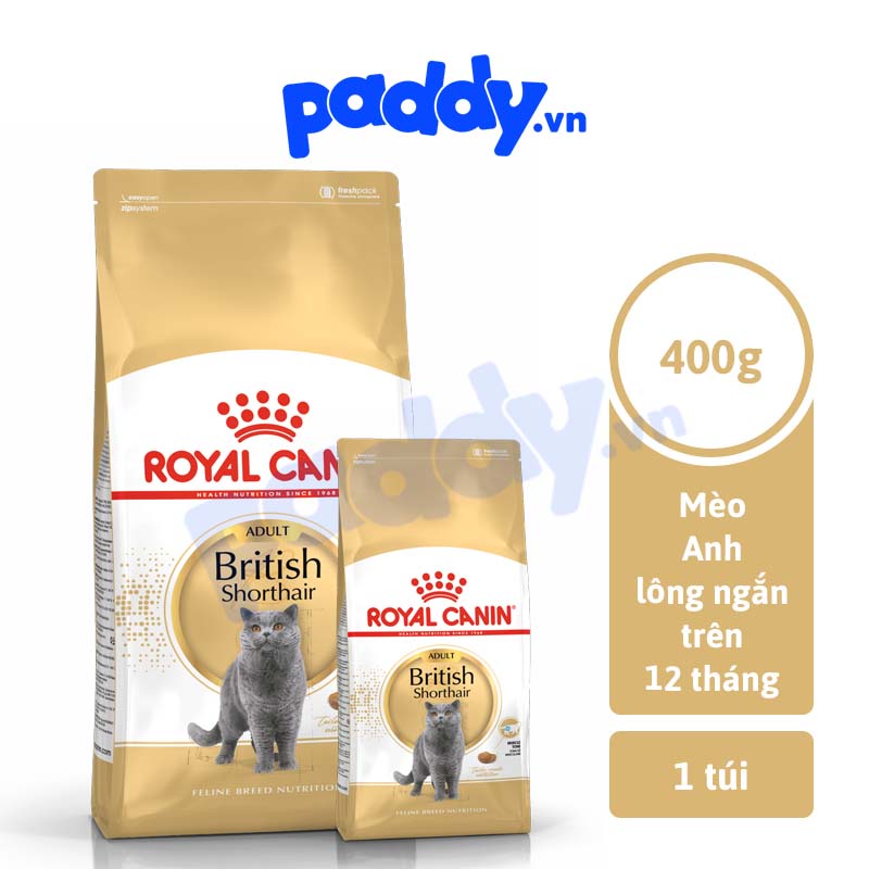 [400g] Hạt Cho Mèo Lớn Anh Lông Ngắn Royal Canin British Shorthair